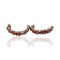 Handmade Certified Authentic Navajo .925 Sterling Silver Coral Native American Earrings 17863-1