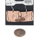 Handmade Certified Authentic Navajo Pure Dangle Copper Native American Earrings 18169-2