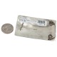 Certified Authentic Handmade Navajo Nickel Natural White Buffalo Native American Buckle 1217-1
