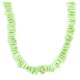 .925 Sterling Silver Certified Authentic Navajo Natural Gaspeite Native American Necklace 18265-1