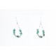 Certified Authentic Navajo .925 Sterling Silver Hooks Natural Turquoise Native American Earrings 371064132099