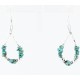 Certified Authentic Navajo .925 Sterling Silver Hooks Natural Turquoise Native American Earrings 390835943759