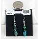 Certified Authentic Navajo .925 Hook Turquoise Native American Earrings 18056