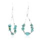 Certified Authentic Navajo .925 Sterling Silver Hooks Natural Turquoise Native American Earrings 371064132099
