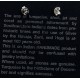 Certified Authentic Navajo .925 Sterling Silver Malachite Stud Native American Earrings 371119419946