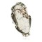 Handmade Certified Authentic Navajo Silver White Buffalo Native American Ring  17023-2